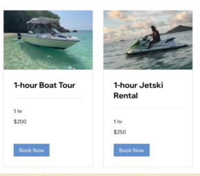 screenshot of princewatersports online booking form